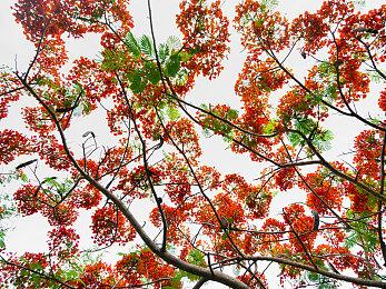 Fami通新一周销量榜 《马力欧派对：超级巨星》登顶